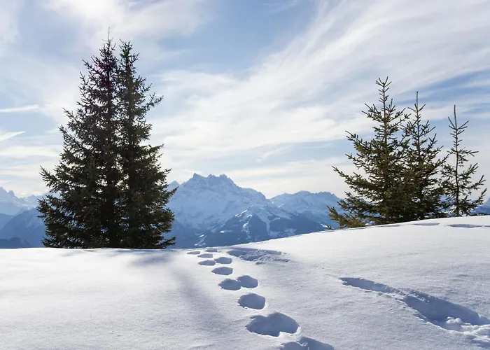 Hedonia B4 By Interhome Apartament