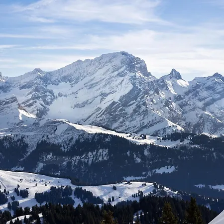 Hedonia B4 By Interhome