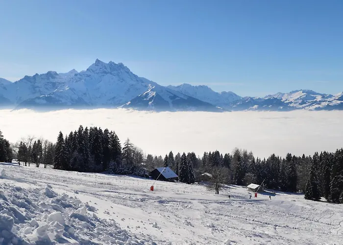 Hedonia B4 By Interhome