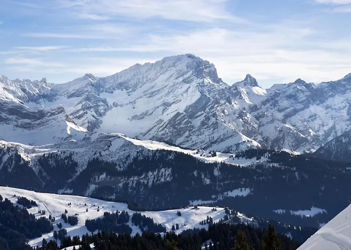 Hedonia B4 By Interhome